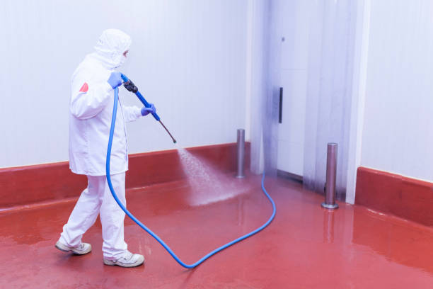 Best Soft Washing  in Garfield, TX
